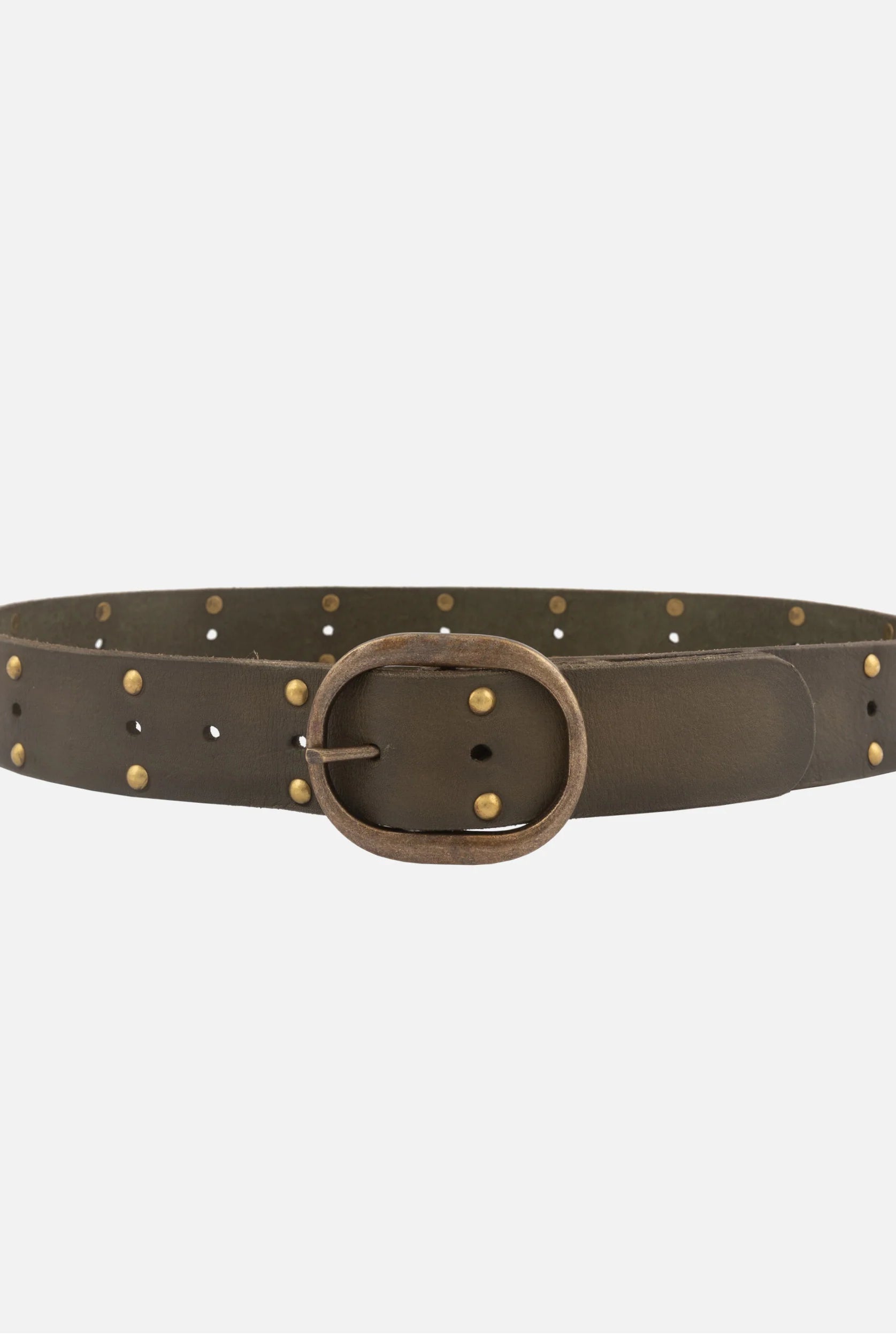 Amsterdam Heritage Olive Devi Antique Brass-Accented Leather Belt-Belts-Amsterdam Heritage-Deja Nu Boutique, Women's Fashion Boutique in Lampasas, Texas