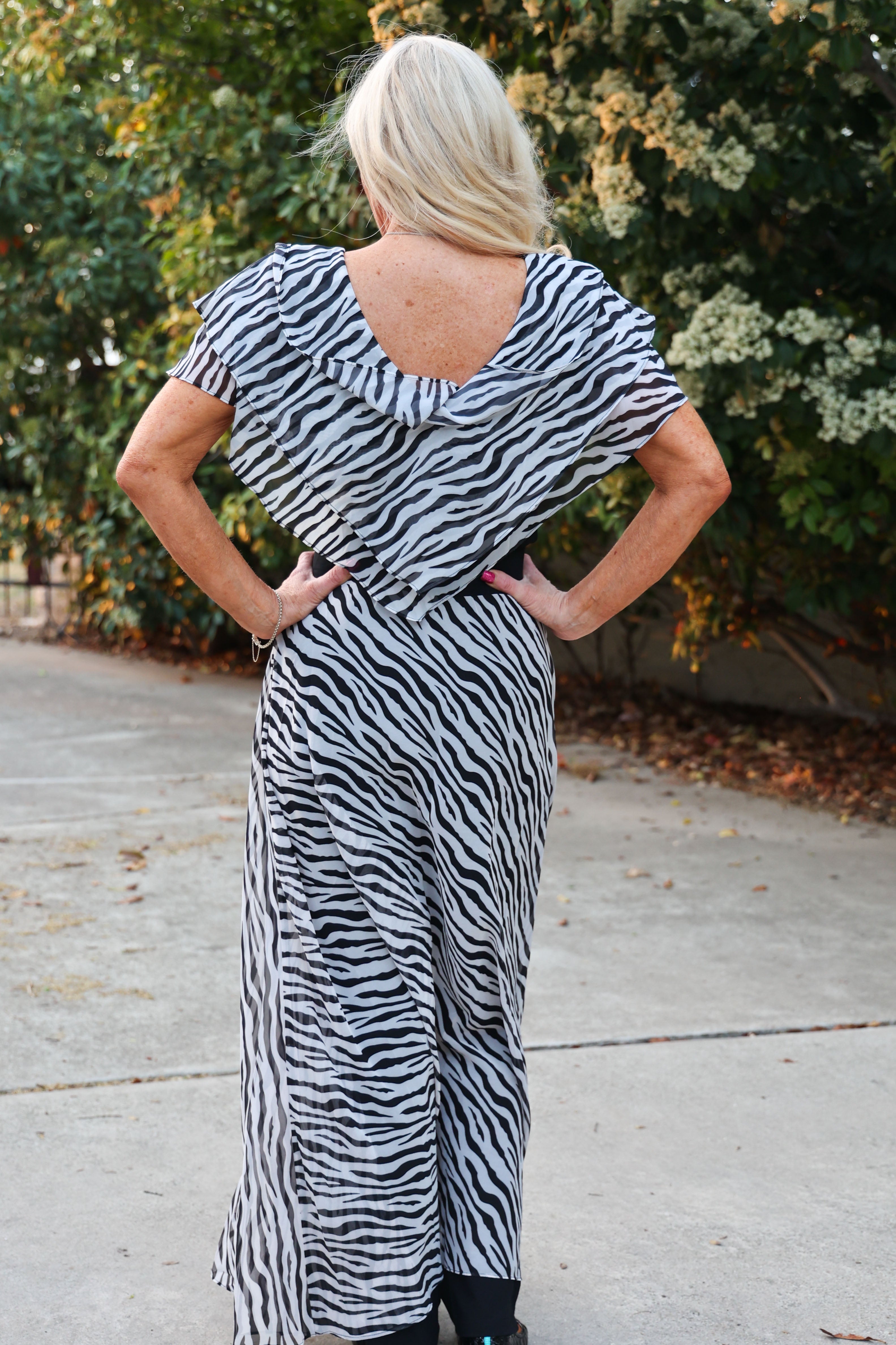 Azi Sheer Ruffle Short Sleeve Zebra V Neck Top With Fitted Black Bodice-Tops-AZI-Deja Nu Boutique, Women's Fashion Boutique in Lampasas, Texas