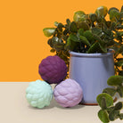 SPEKS Odds Silicone Magnets & Vivid Odds (8 Colors & Textures)-Magnet Toys-SPEKS-Deja Nu Boutique, Women's Fashion Boutique in Lampasas, Texas