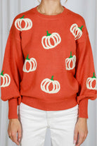 Vine & Love Pumpkin Embroidered Crew Neck Knitted Sweater Top-Sweaters-Vine & Love-Deja Nu Boutique, Women's Fashion Boutique in Lampasas, Texas
