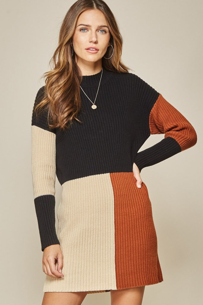 Andree By Unit Color Block Sweater Dress-Dresses-Andree By Unit-Deja Nu Boutique, Women's Fashion Boutique in Lampasas, Texas