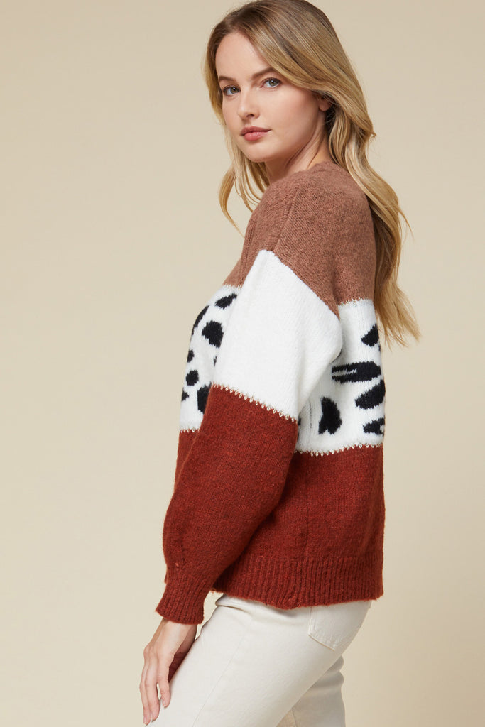 Entro Color Block Leopard Print Sweater-Sweaters-Entro-Deja Nu Boutique, Women's Fashion Boutique in Lampasas, Texas