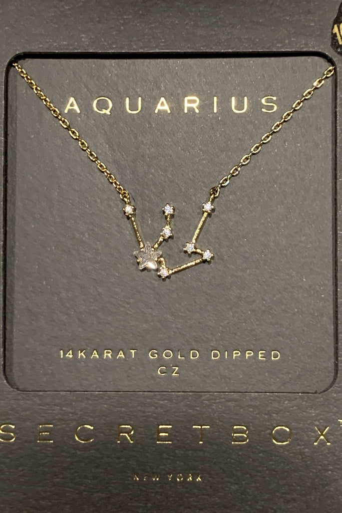 Secret Box Aquarius Constellation Necklace-Necklaces-Secret Box-Deja Nu Boutique, Women's Fashion Boutique in Lampasas, Texas