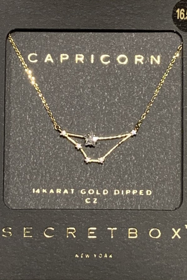 Secret Box Capricorn Constellation Necklace-Necklaces-Secret Box-Deja Nu Boutique, Women's Fashion Boutique in Lampasas, Texas