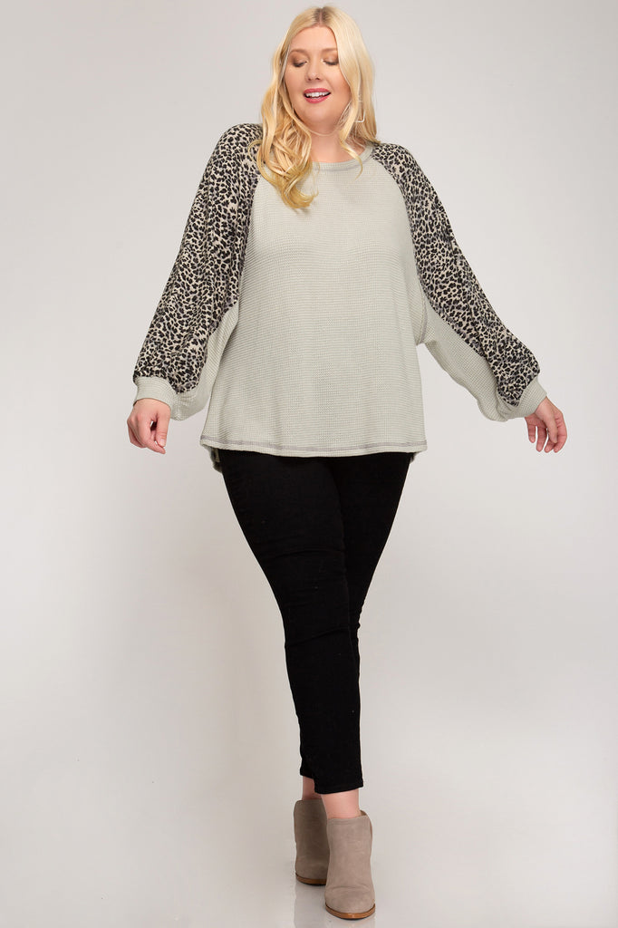 She And Sky Waffle Knit Sage Green With Contrast Leopard Print Sleeve Plus Top-Curvy/Plus Tops-She And Sky-Deja Nu Boutique, Women's Fashion Boutique in Lampasas, Texas